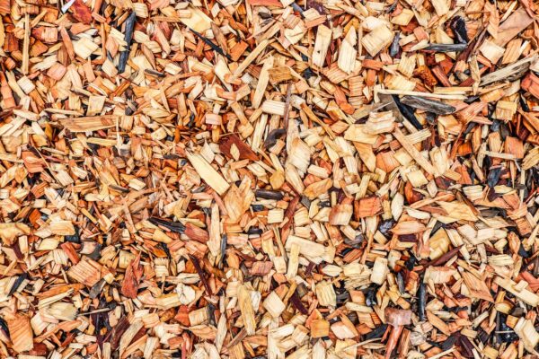 Pack 10 Sacos de Mulch 50 Litros